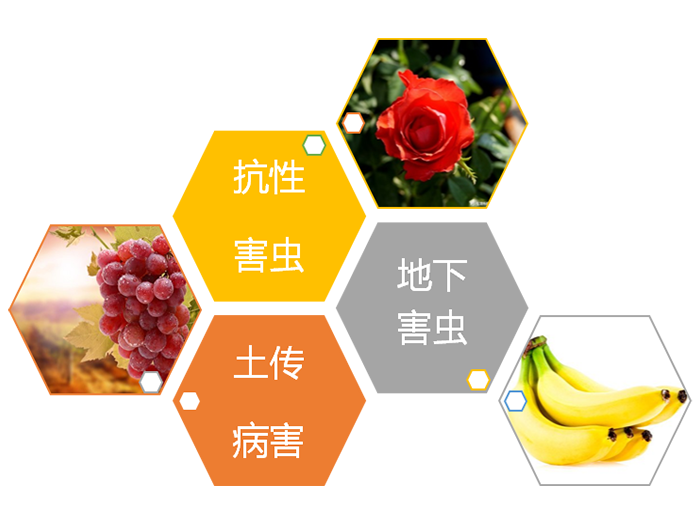 破解三大难题